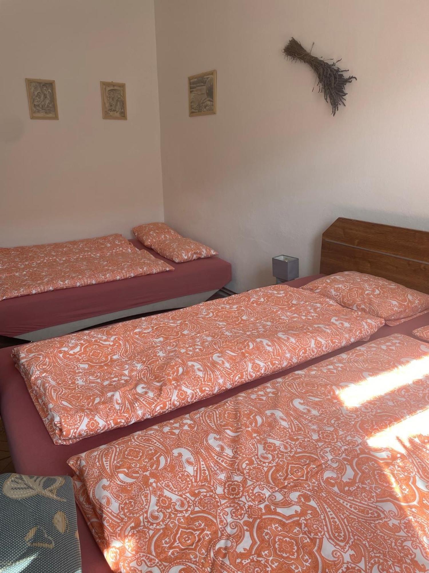 Na Upati Palavy Hotel Horni Vestonice Eksteriør billede