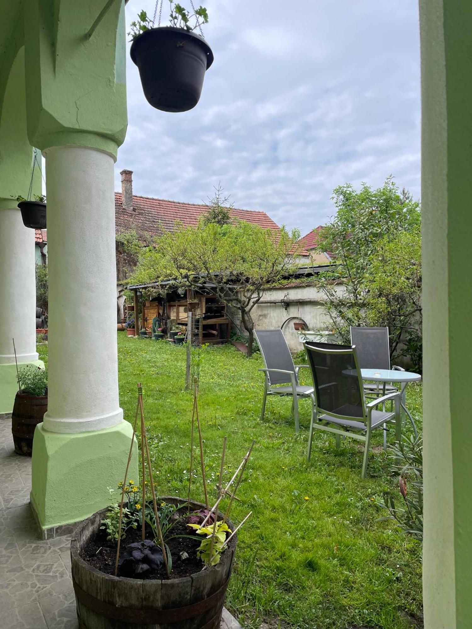 Na Upati Palavy Hotel Horni Vestonice Eksteriør billede
